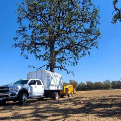 LOT CLEARING